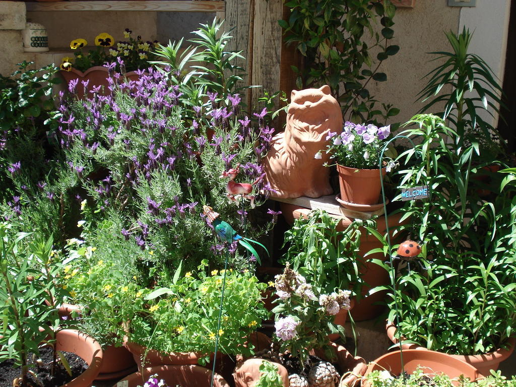 Abruzzo Segreto Bed & Breakfast Navelli Bagian luar foto