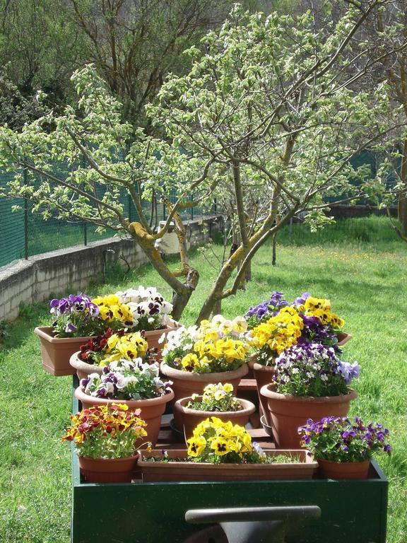 Abruzzo Segreto Bed & Breakfast Navelli Bagian luar foto