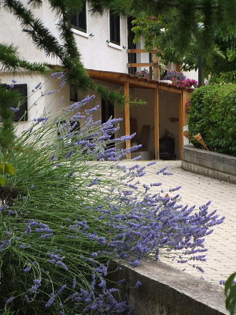 Abruzzo Segreto Bed & Breakfast Navelli Bagian luar foto